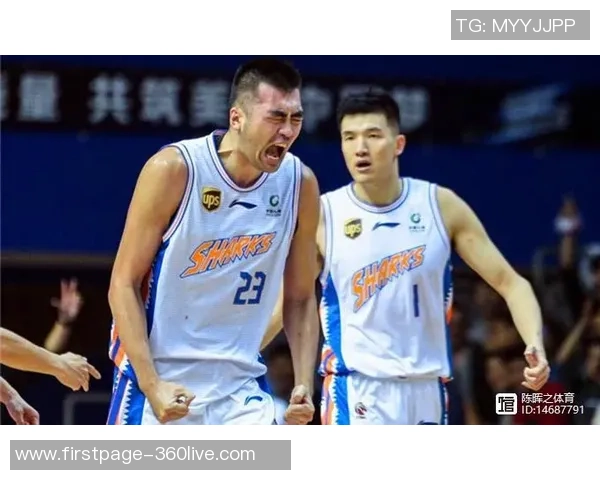 张兆旭的篮球之路从青涩少年到职业巨星的成长故事